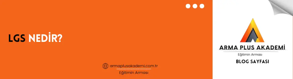 LGS Nedir LGS Nedir?