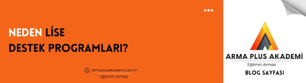Neden Lise Destek Programları?